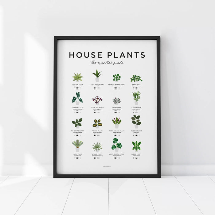 House Plants Guide Print