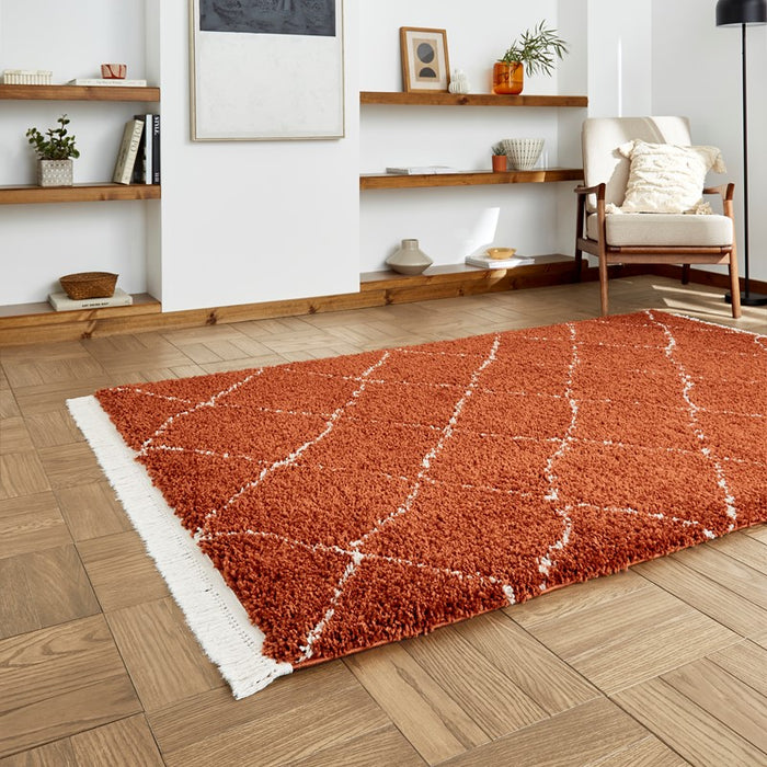 Boho 5413 Rust Rugs