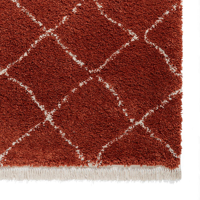 Boho 5413 Rust Rugs