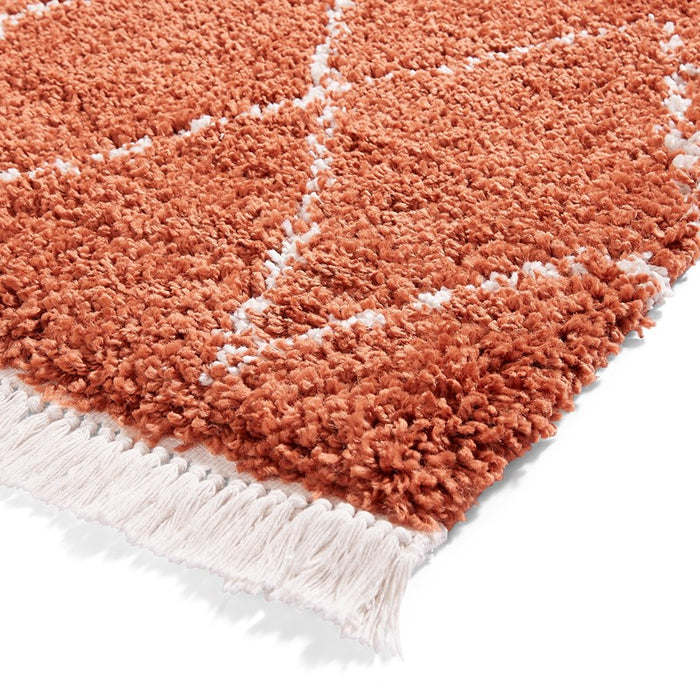 Boho 8280 Rust Rugs