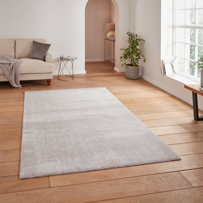 Cove Silver Rugs