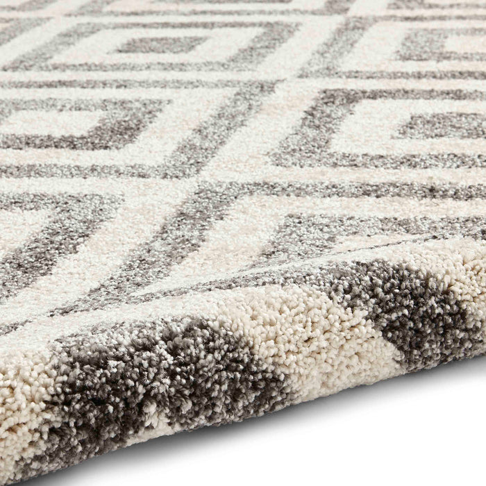 Elegant 4893 Grey/White Rugs