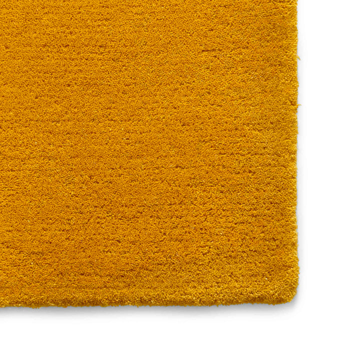 Elements EL1095 Ochre Rugs