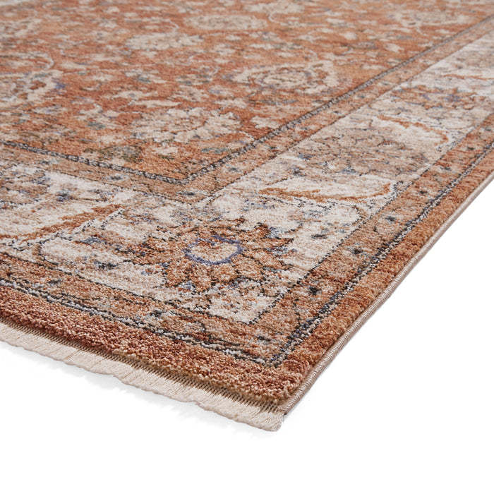 Vintage 35027 Terracotta Rugs